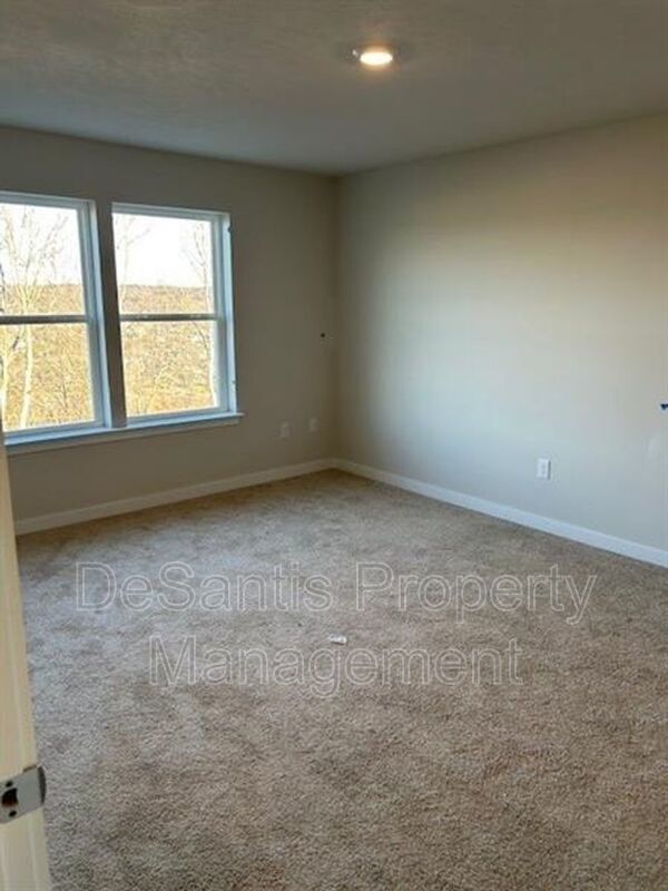 Luxury 4-Bedroom Townhome with Finished Walkout Basement & River Views property image