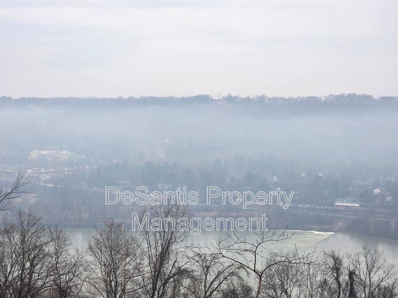 Luxury 4-Bedroom Townhome with Finished Walkout Basement & River Views property image