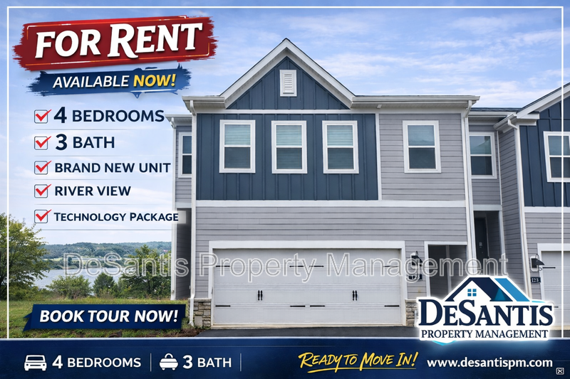 Luxury 4-Bedroom Townhome with Finished Walkout Basement & River Views property image