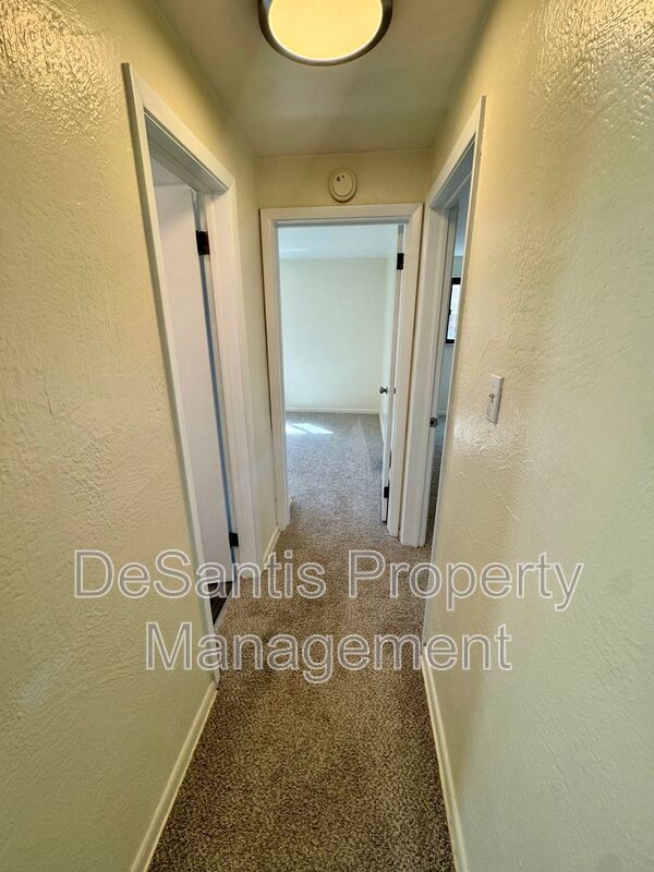 Bright and Spacious 2 Bed 1 Bath in Brentwood! property image