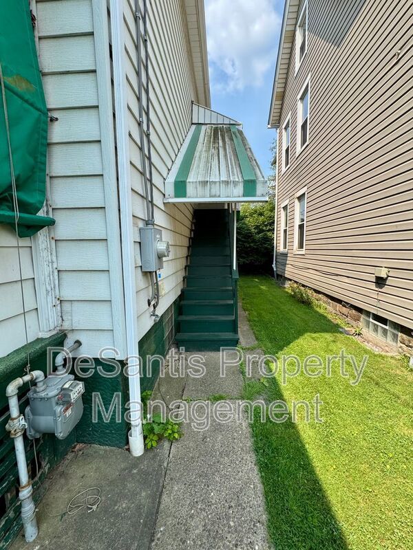 Spacious and Well Maintained 5 bed Apt in New Kensington! property image