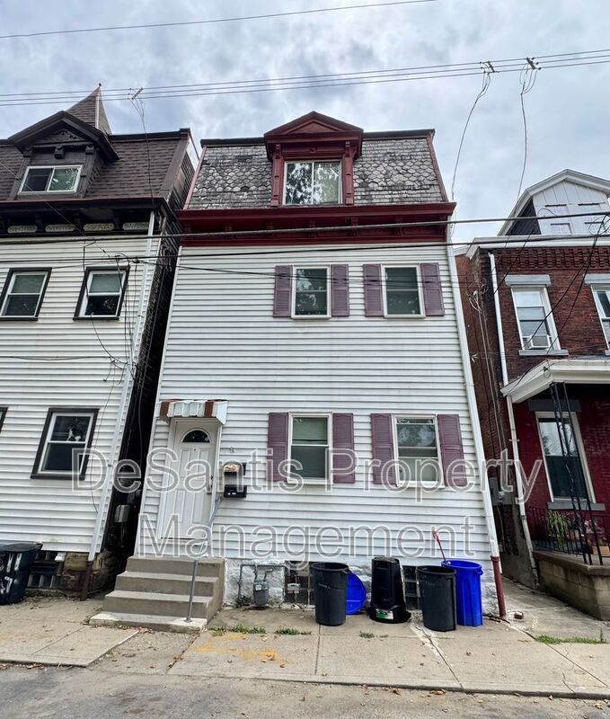 Spacious Studio/1 Bedroom Apt in Troy Hill! property image