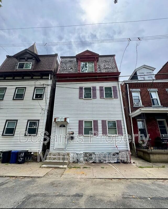 Spacious 1 Bedroom Apt in Troy Hill! property image