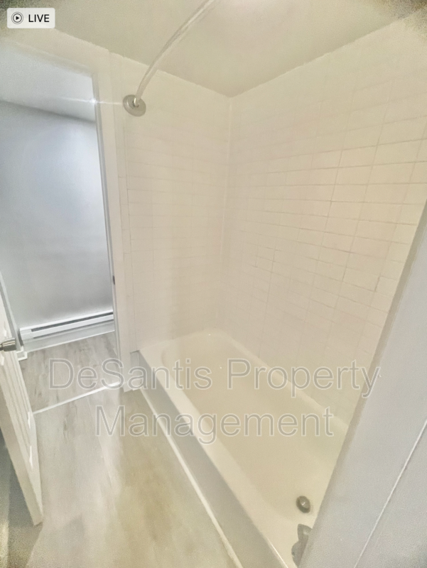 1 Bed 1 Bath-Pittsburgh Pa property image