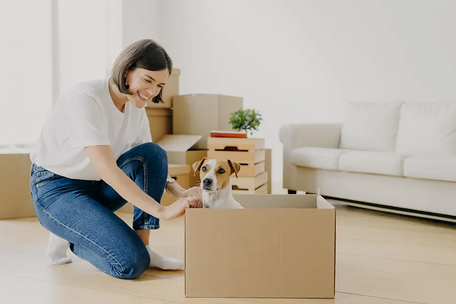 Allowing Pets in Your Rental Property: Considerations for Pittsburgh Landlords