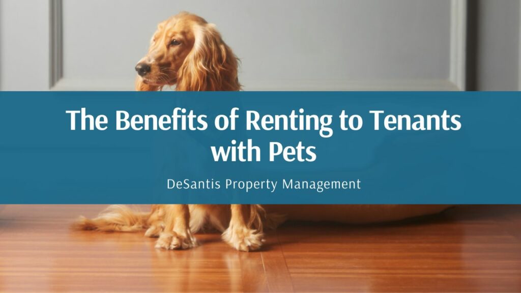 renting to tenants with pets